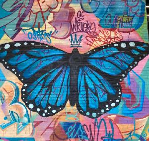 The Butterfly Rash is a symptom of lupus. 